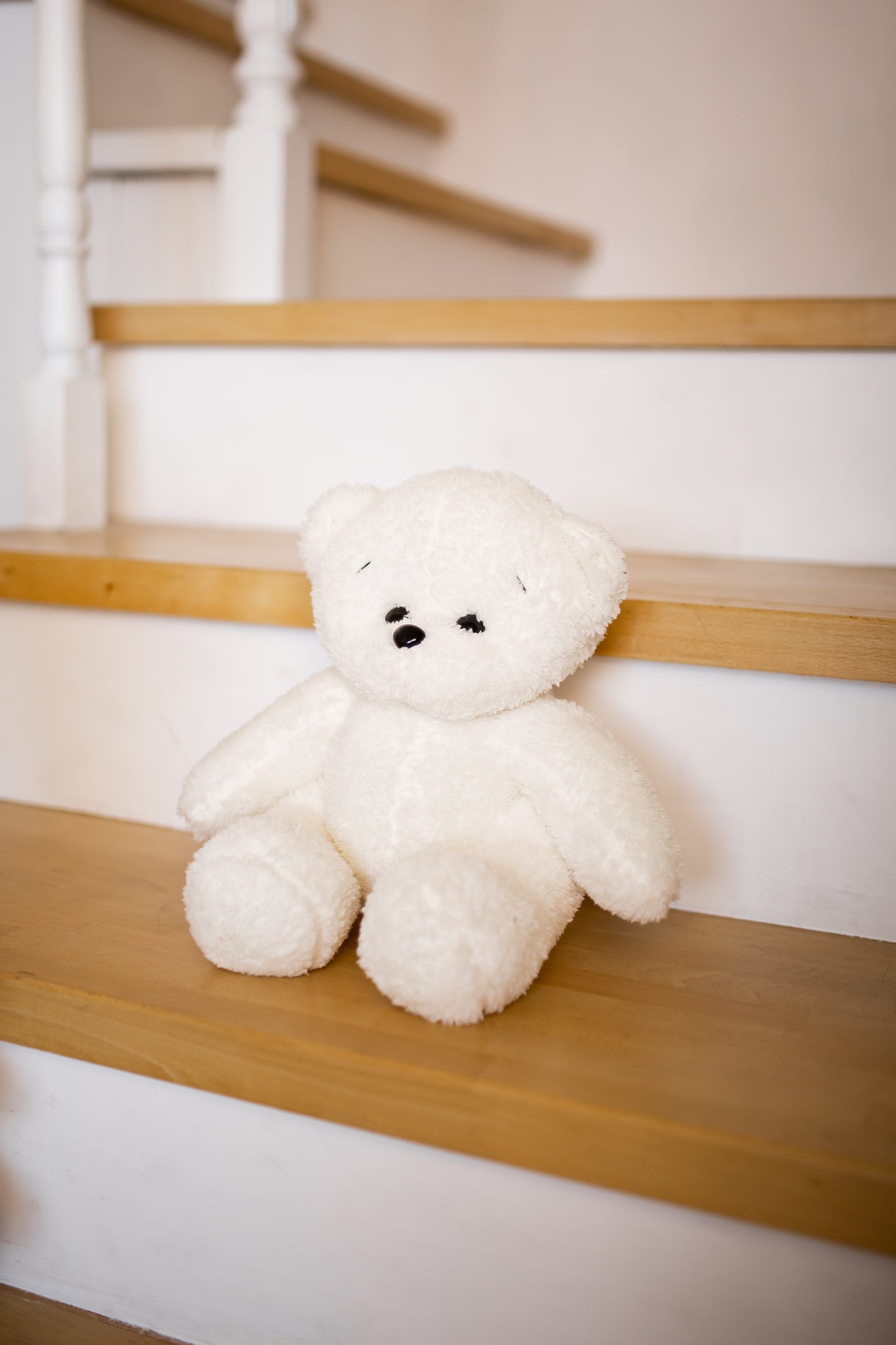 Teddybär-Plüschtier