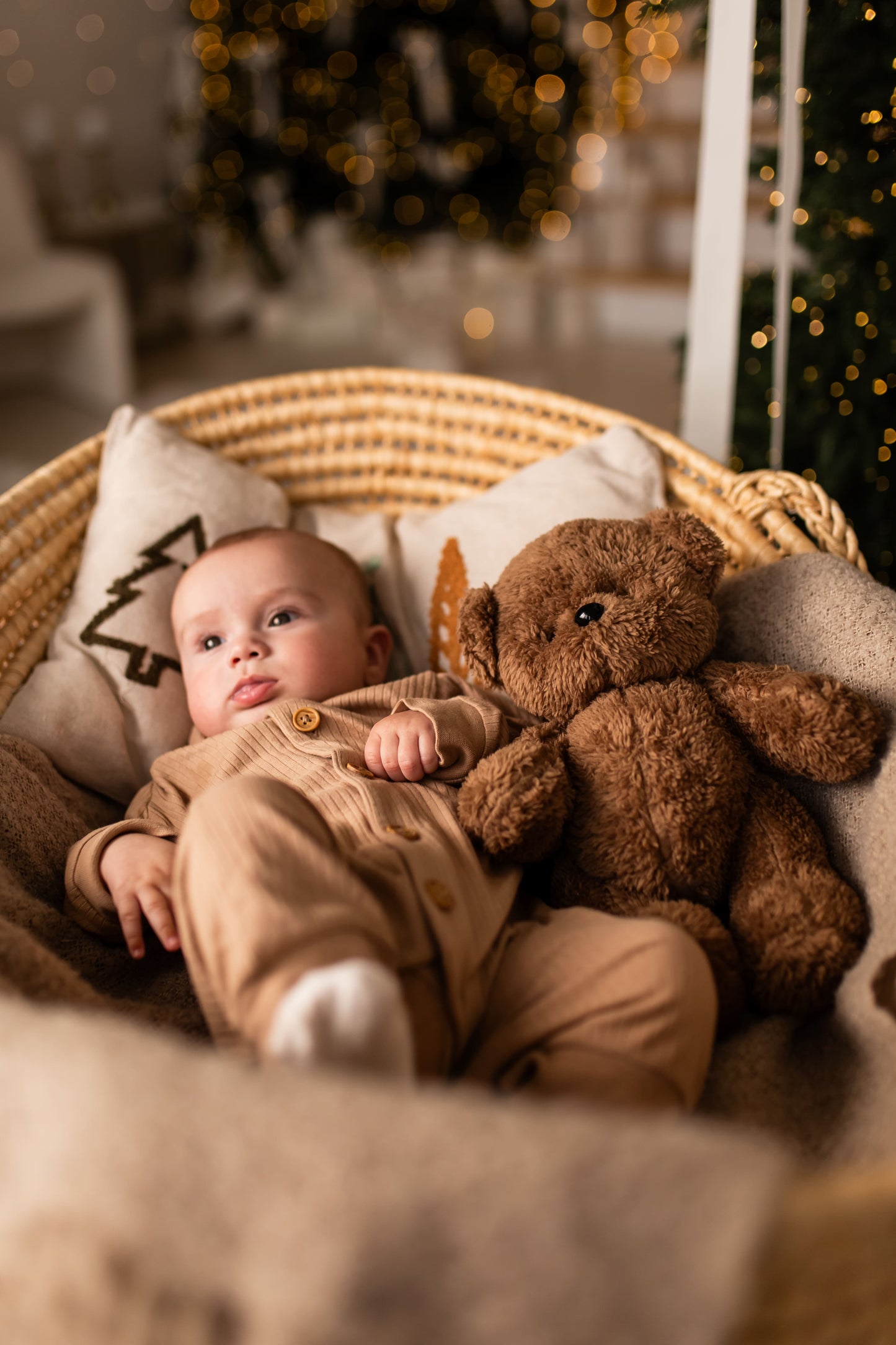 Soft Plush Toy with White Noise Machine